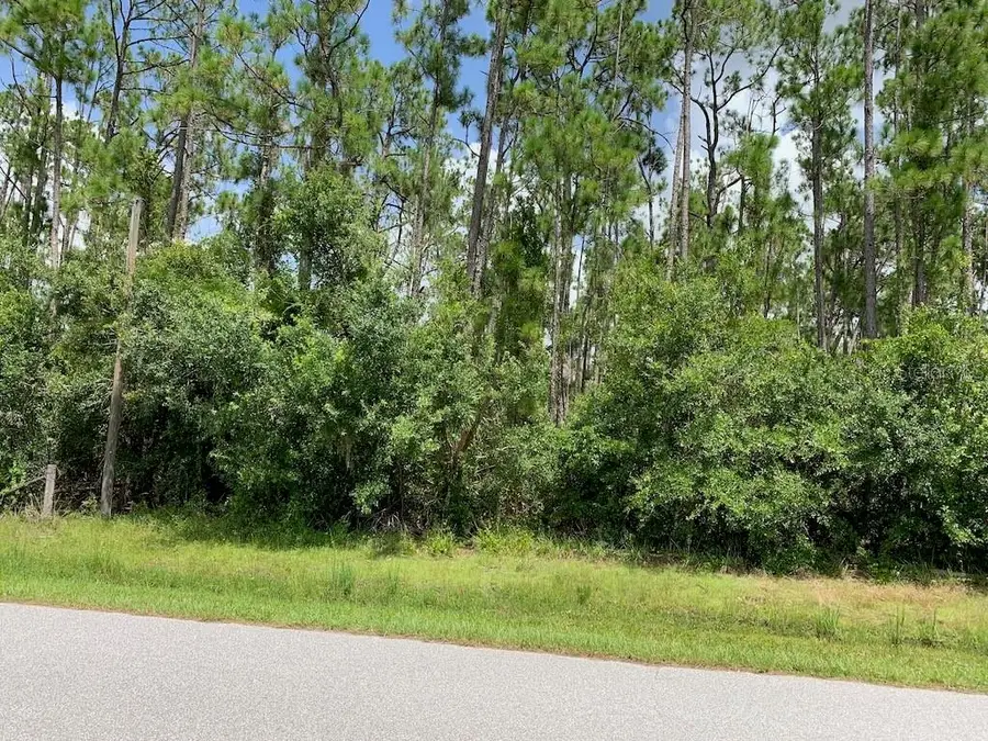 Joe Jeff Street, North Port, FL 34286 - Image #3