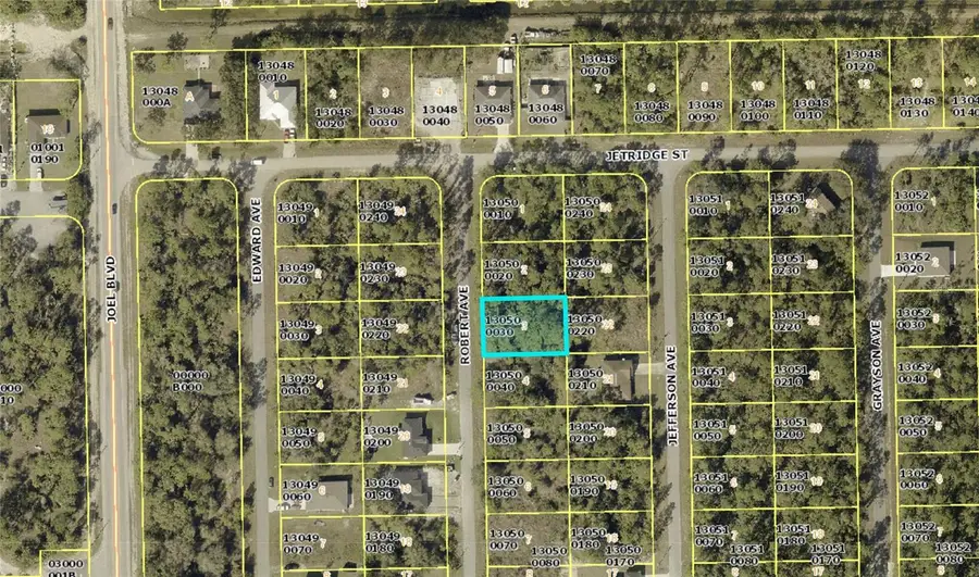 2118 Robert Avenue, Alva, FL 33920 - Image #3