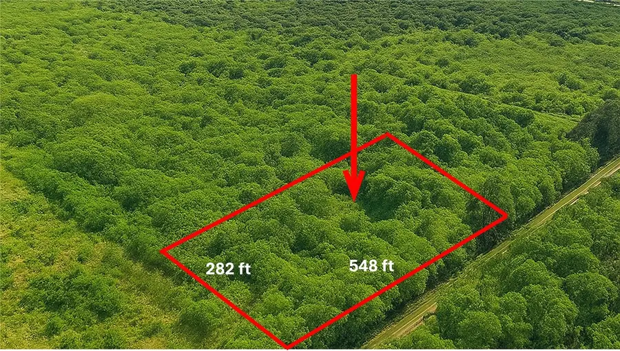 3905 SW 17th Street, Gifford, FL 32968 - Image #2