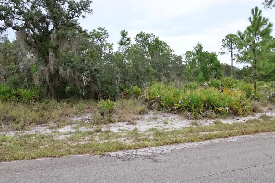 3335 Gerber Avenue, Lake Placid, FL 33852 - Image #2