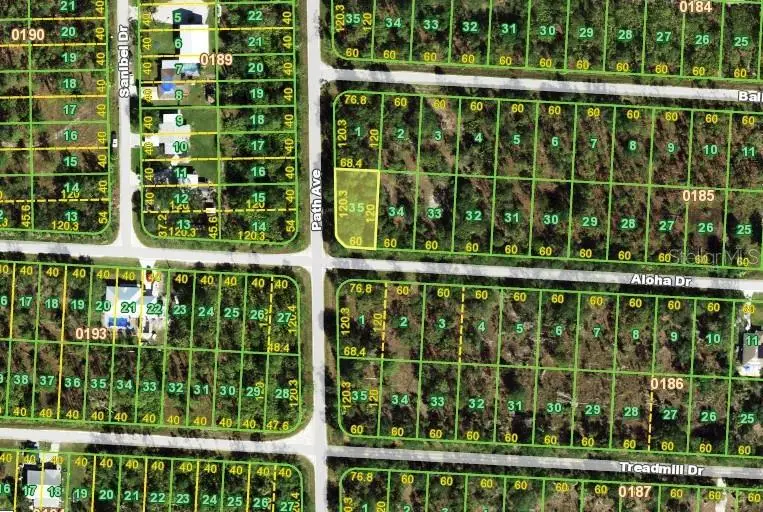 27282 Aloha Drive, Punta Gorda, FL 33955 - #2