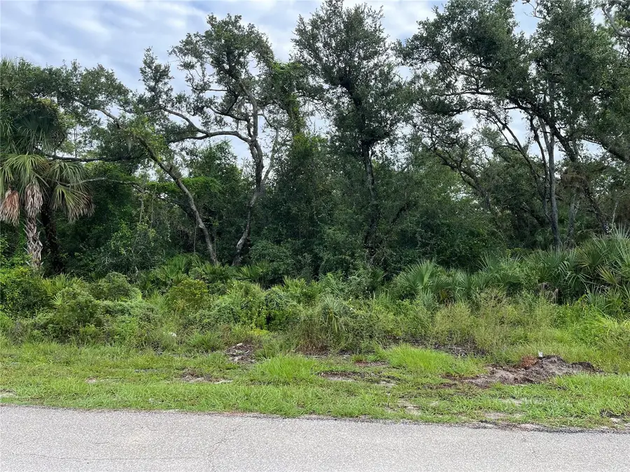 17084 Johns Avenue, Port Charlotte, FL 33948 - #2