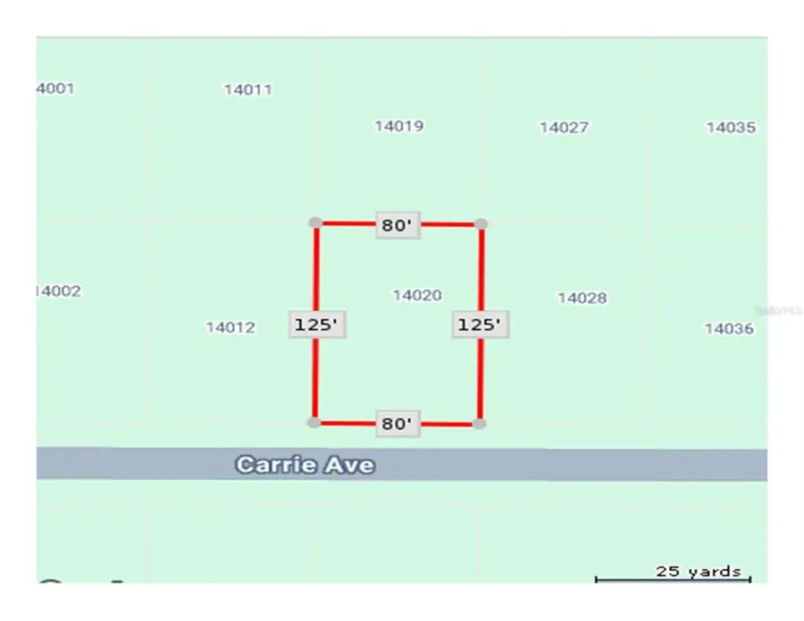 14020 Carrie Avenue, Port Charlotte, FL 33953 - Image #3