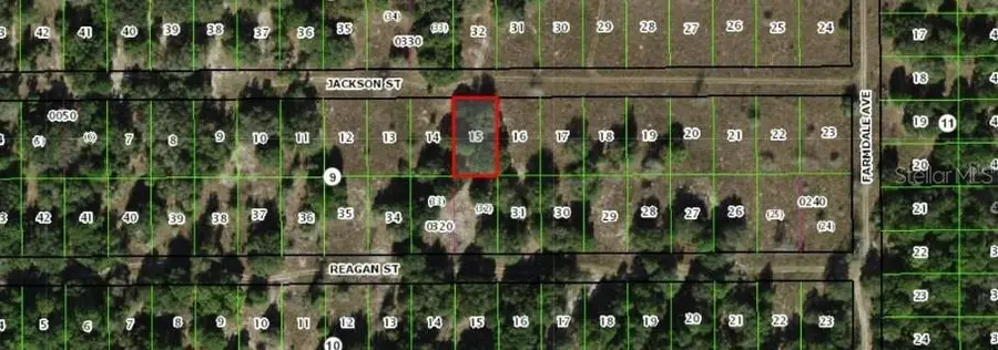 2403 Jackson Street, Inverness, FL 34453 - Image #3