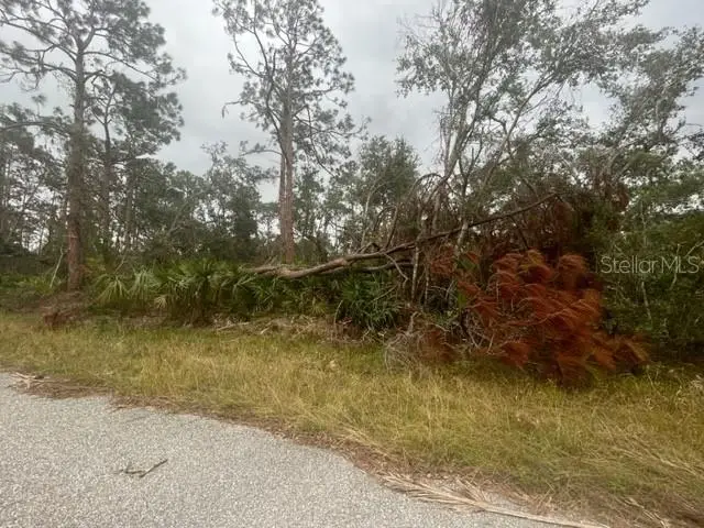 17051 Carson Avenue, Port Charlotte, FL 33948 - Image #2