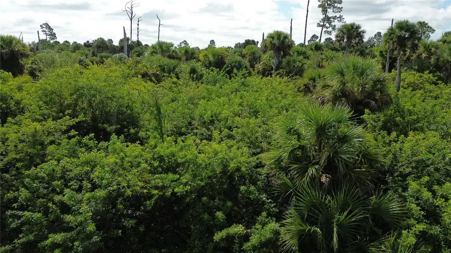 Afterglow Street, North Port, FL 34288 - Image #3