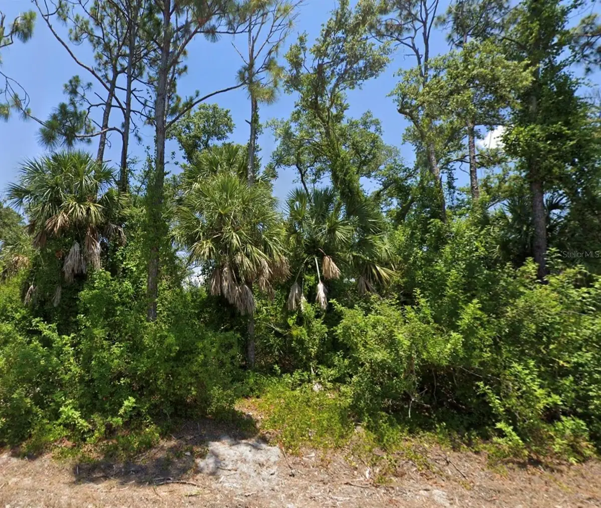 10046 Flat River Street, Port Charlotte, FL 33981 - Image #1