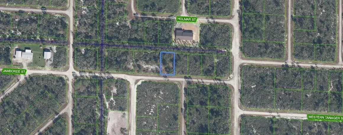 3507 & 3509 Jamboree Street, Lake Placid, FL 33852 - Image #1