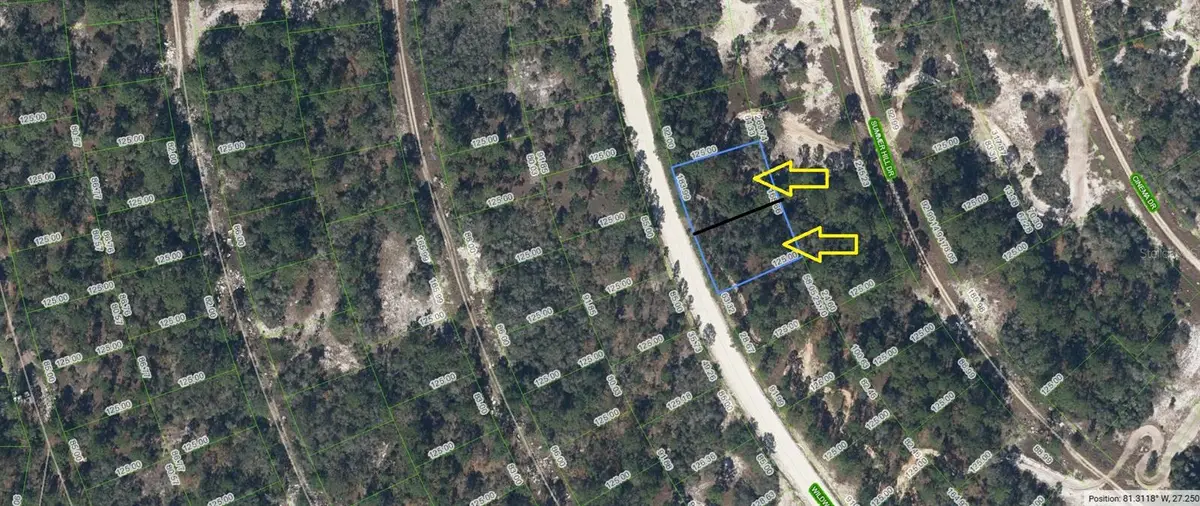 363 Wildwood Drive, Lake Placid, FL 33852 - Image #1