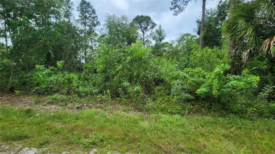 12331 Graffiti Drive, Punta Gorda, FL 33955 - #2