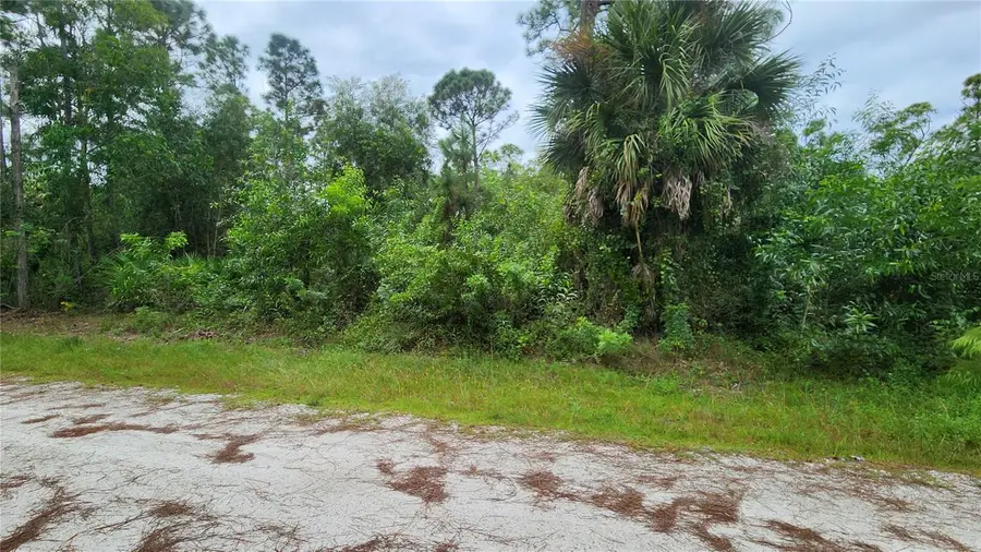 12331 Graffiti Drive, Punta Gorda, FL 33955 - #3