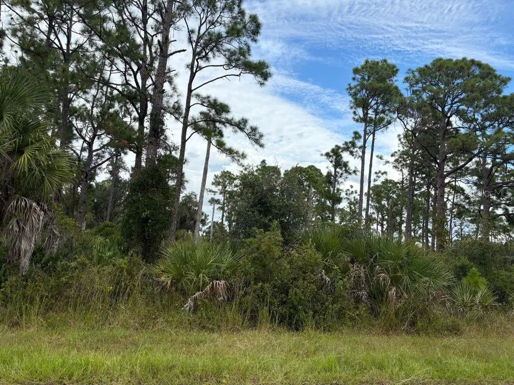 13458 Fairbanks Avenue, Port Charlotte, FL 33953 - Image #1