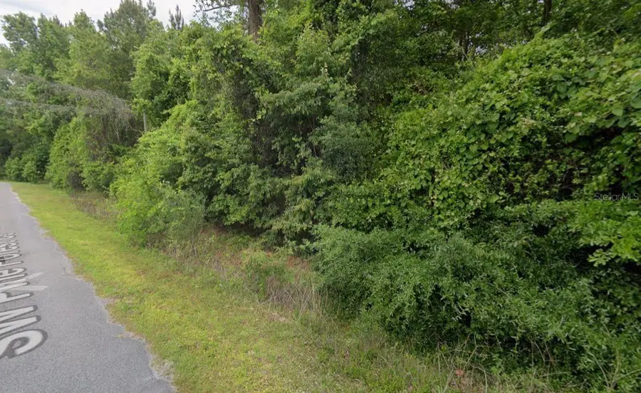 291 SW Pine Forest Court, Lake City, FL 32024 - #3