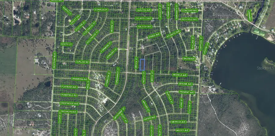 810 Pacific Street, Lake Placid, FL 33852 - Image #2