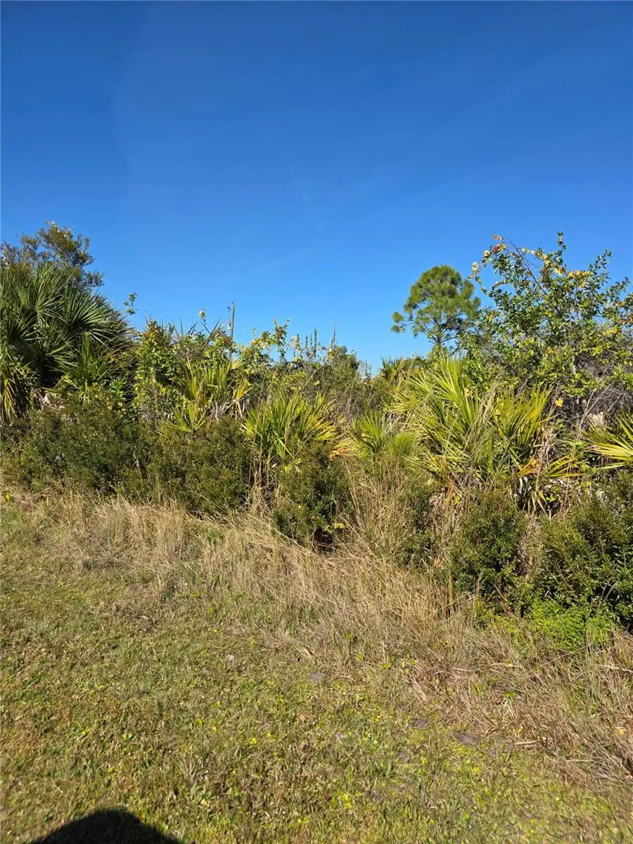 12104 Noel Avenue, Port Charlotte, FL 33981 - Image #2