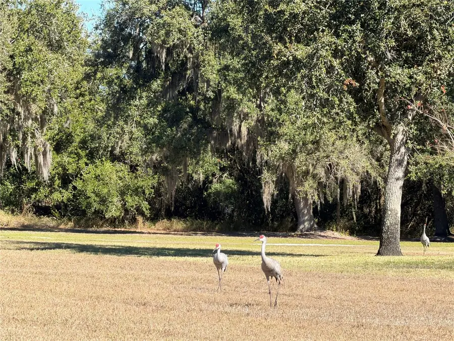 7912 SW Sunny Oaks Drive, Arcadia, FL 34269 - Image #3