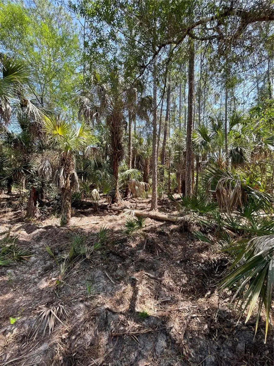 49765 Bermont Road, Punta Gorda, FL 33982 - Image #3