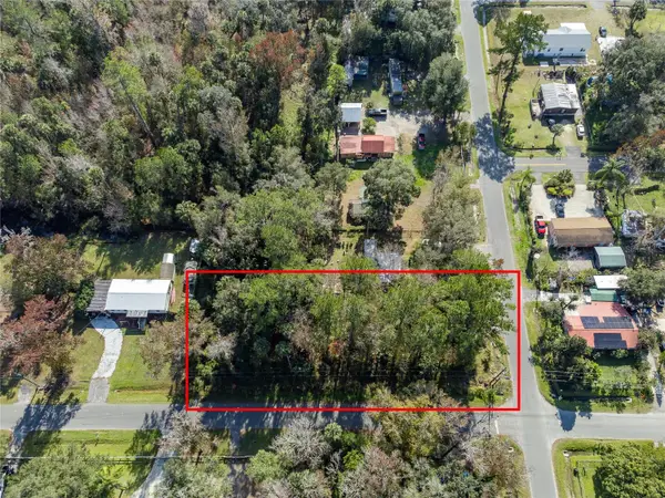 55848 Fern Road, ASTOR, FL 32102