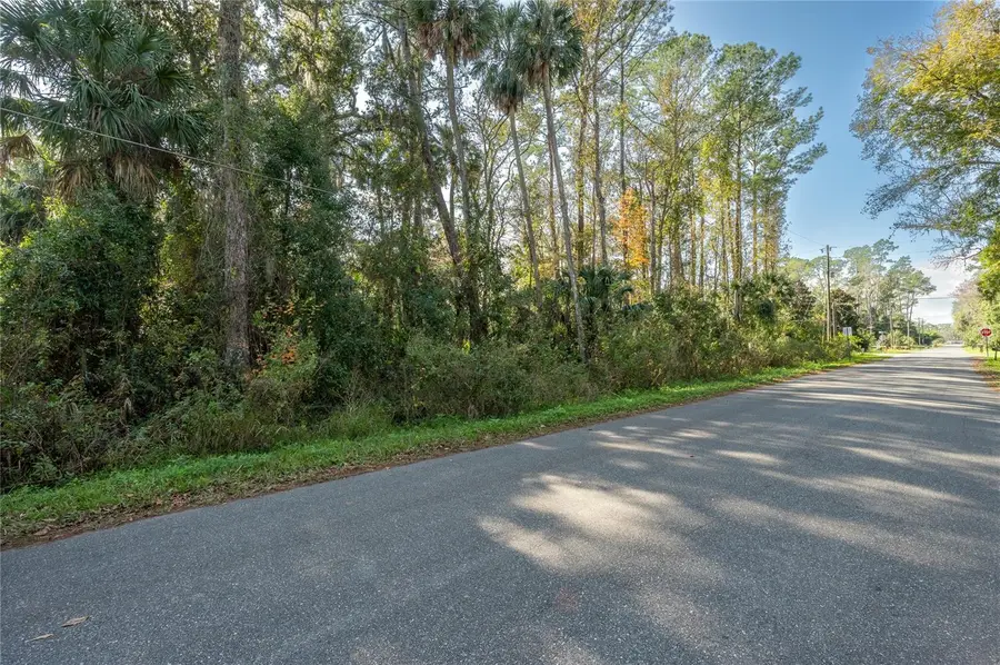 55848 Fern Road, Astor, FL 32102 - Image #2