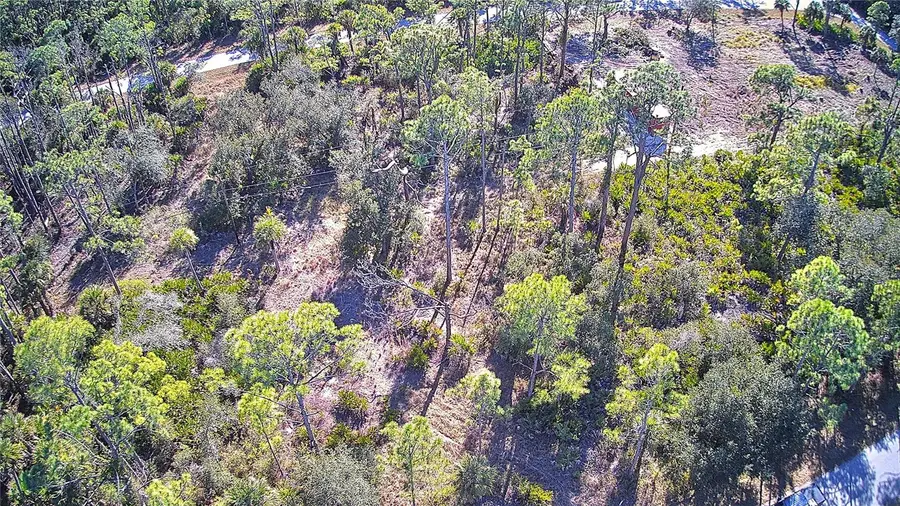 13093 Harbison Avenue, Port Charlotte, FL 33953 - Image #3