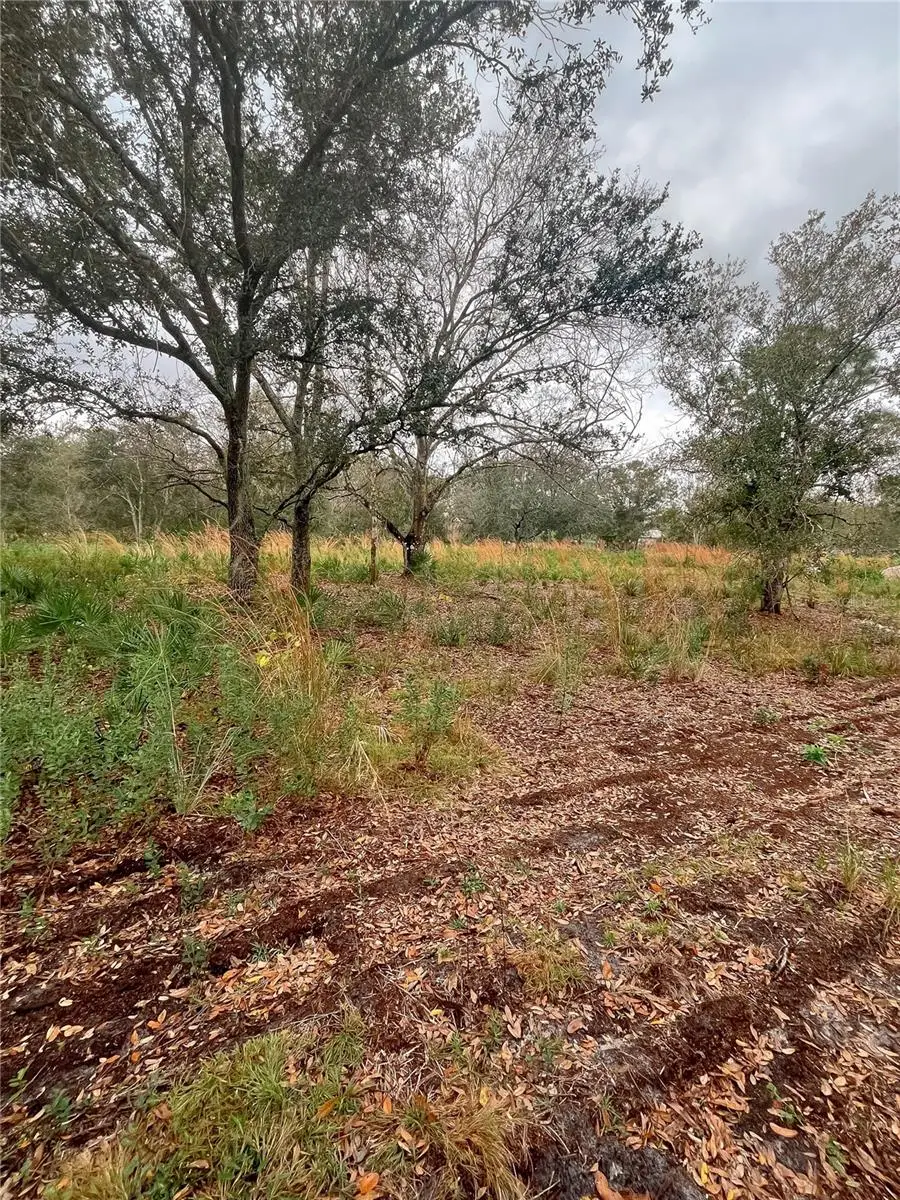 4683 SE Rye Avenue, Arcadia, FL 34266 - Image #2