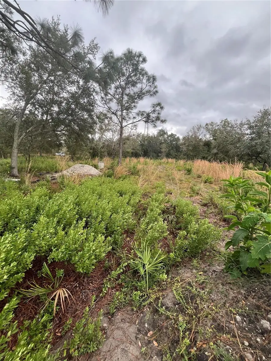 4683 SE Rye Avenue, Arcadia, FL 34266 - Image #3