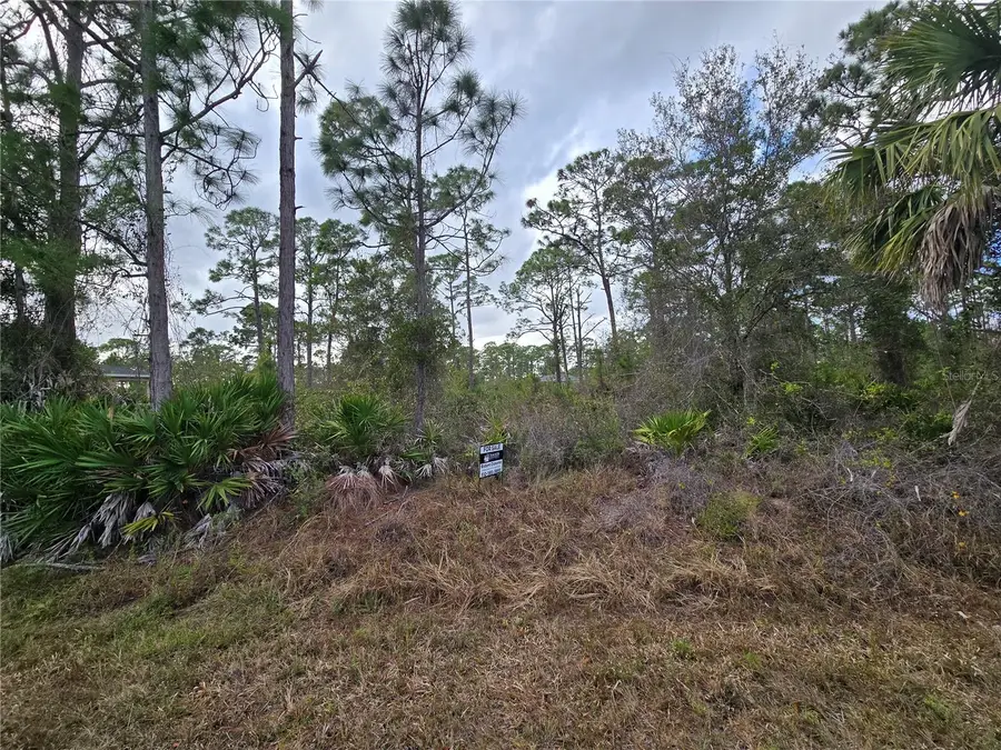 27571 Sandrala Drive, Punta Gorda, FL 33955 - Image #3