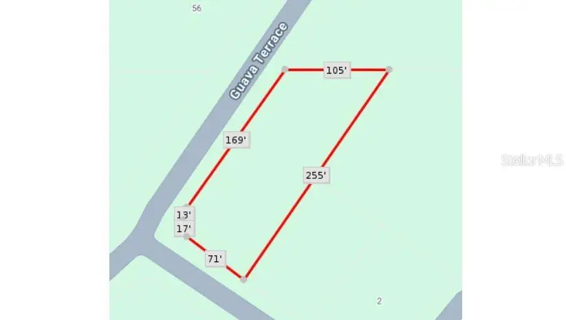 Lot 1 Guava Terrace, Ocklawaha, FL 32179 - Image #2