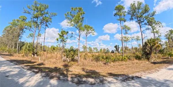 12196 Caravan Drive, PUNTA GORDA, FL 33955