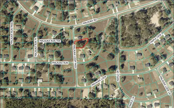 Malauka Loop Pass, OCKLAWAHA, FL 32179