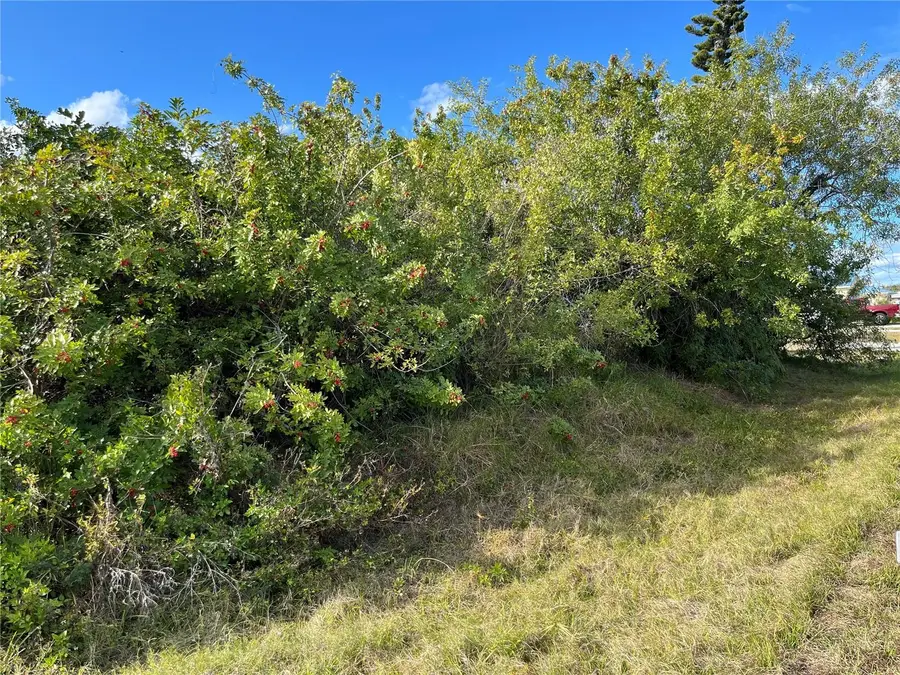 4231 Oneill Street, Port Charlotte, FL 33948 - Image #2