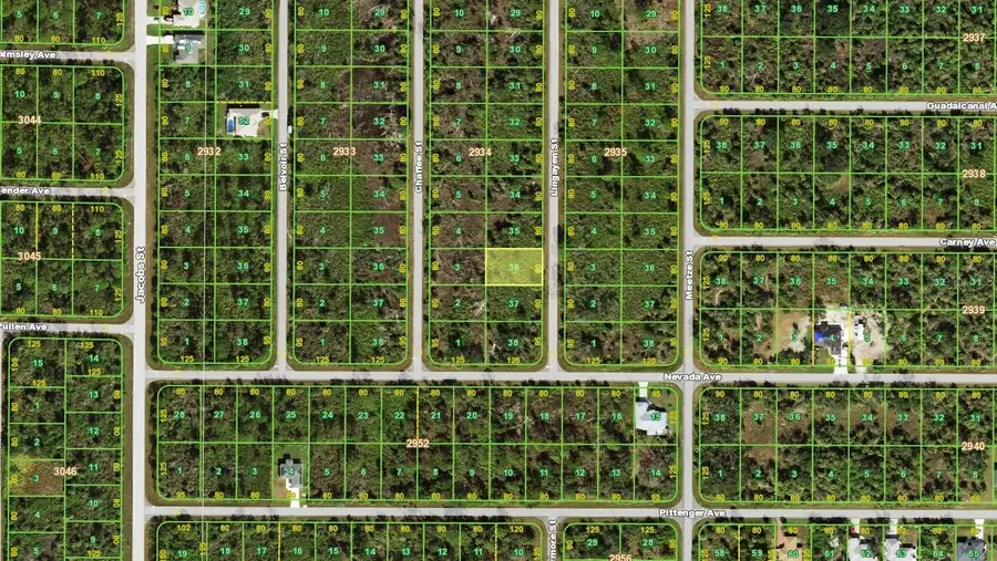 2167 Lingayen Street, Port Charlotte, FL 33953 - #2