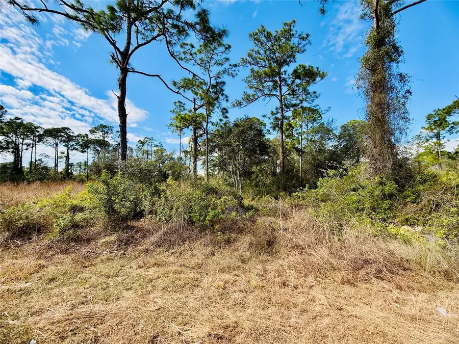 2007 Truman Avenue, Lehigh Acres, FL 33920 - #2