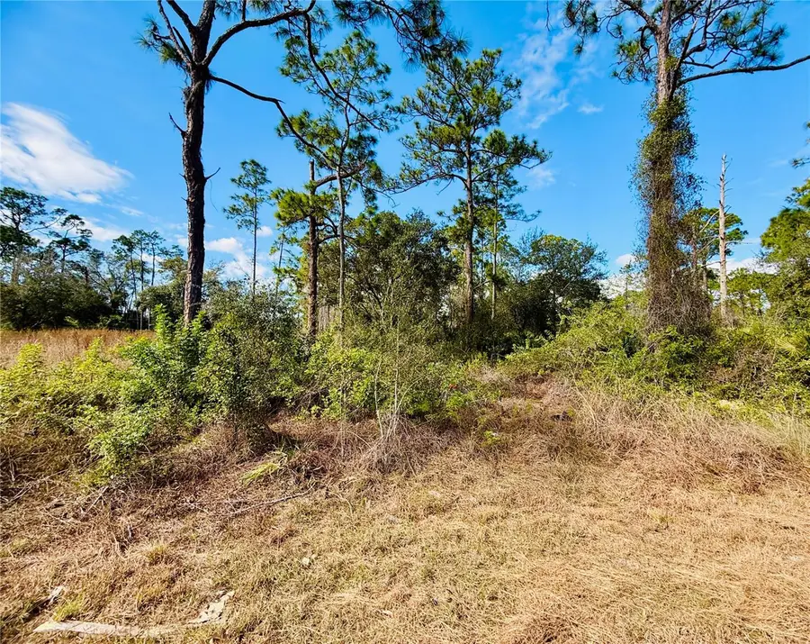 2007 Truman Avenue, Lehigh Acres, FL 33920 - #3