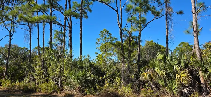 12054 Keller Avenue, Port Charlotte, FL 33981 - Image #3