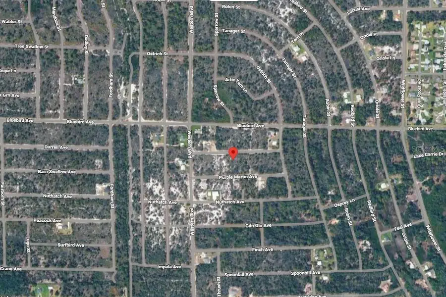 3262 Plover Avenue, Lake Placid, FL 33852 - Image #3