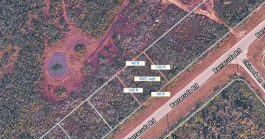 14036 Barracuda Road, Placida, FL 33946 - #2