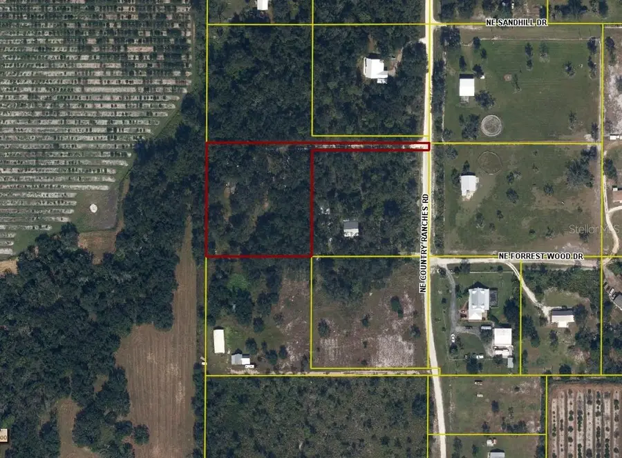 5345 NE Country Ranches Road, Arcadia, FL 34266 - #2