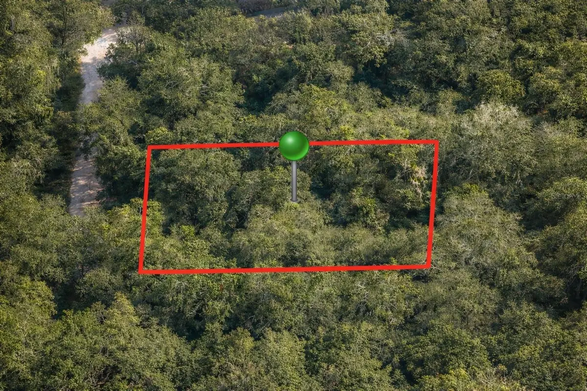 6619 N Canopy Terrace, Hernando, FL 34442 - #1