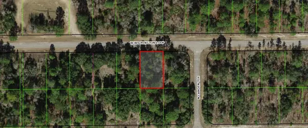 2254 W Wilmington Loop, DUNNELLON, FL 34434