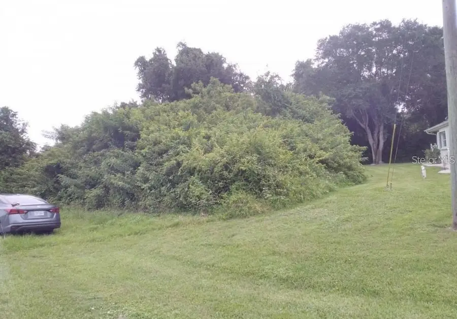 336 Rosario Street, Punta Gorda, FL 33983 - #2