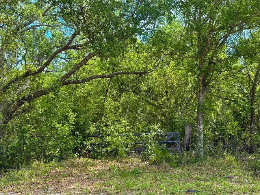 1210 NW Eucalyptus Avenue, Arcadia, FL 34266 - #2