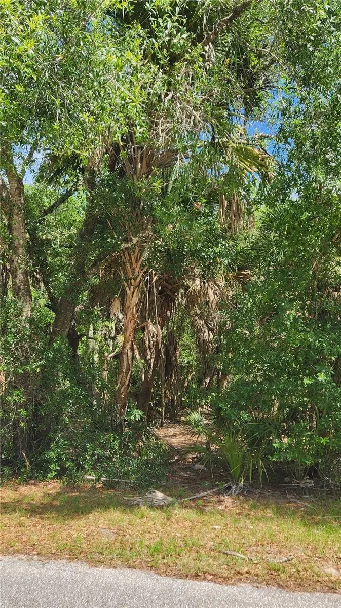 23190 Glen Avenue, Punta Gorda, FL 33980 - #2