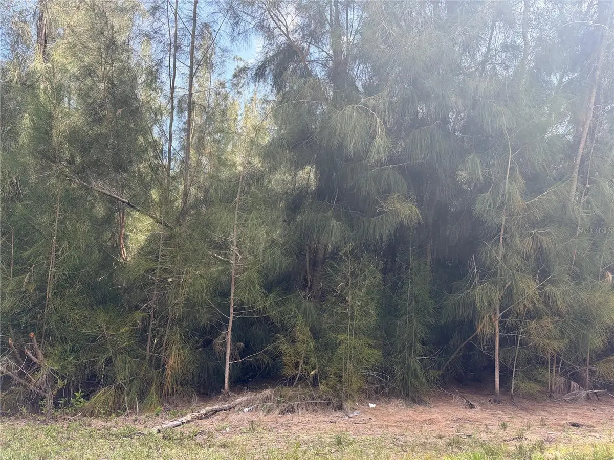 12088 Estrella Boulevard, Punta Gorda, FL 33955 - #1