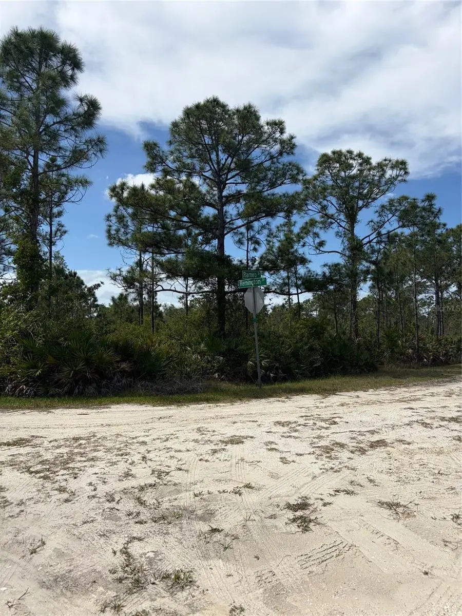 28131 Ramiro Drive, Punta Gorda, FL 33955 - #2