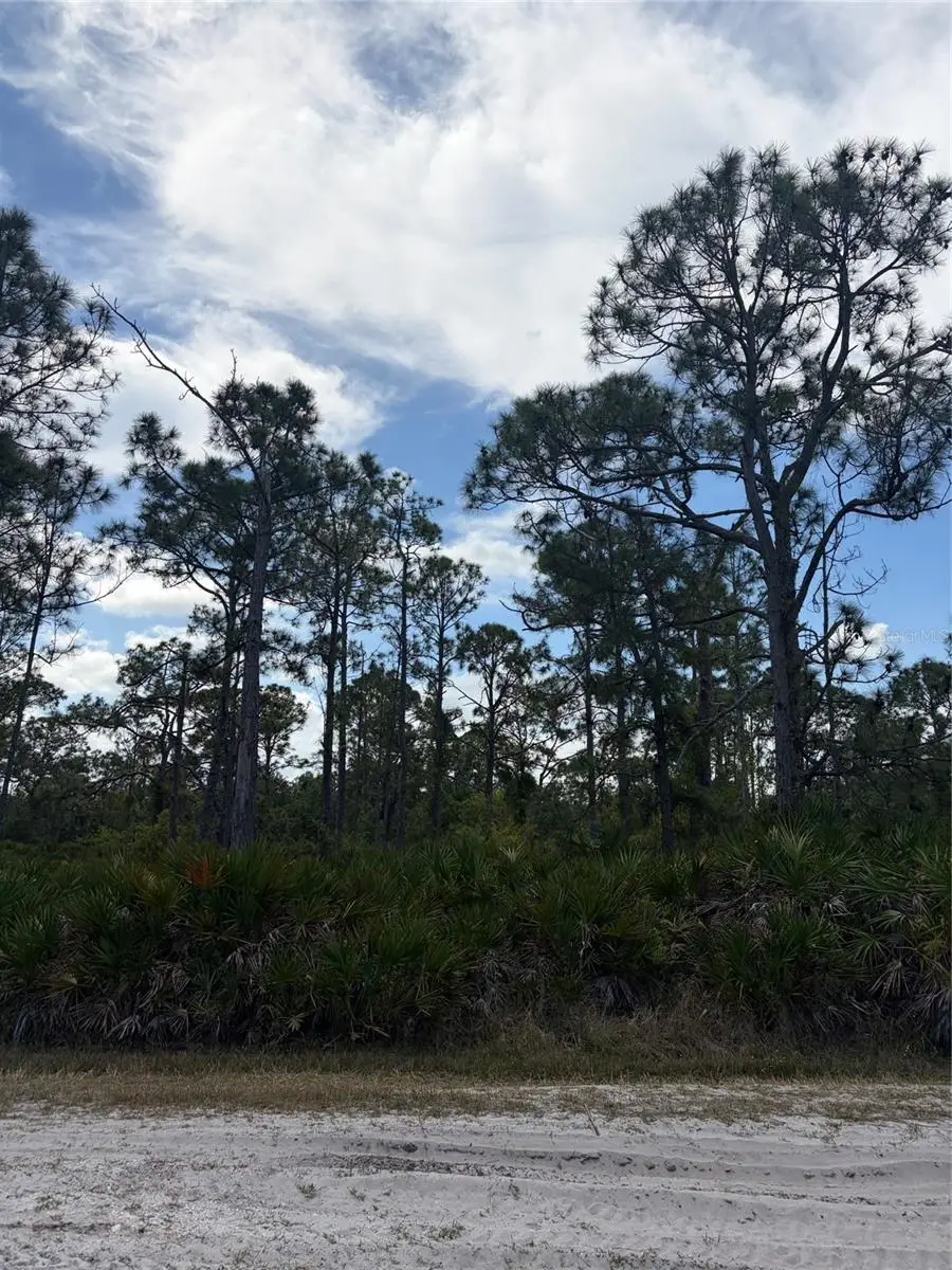 28078 Ramiro Drive, Punta Gorda, FL 33955 - #1