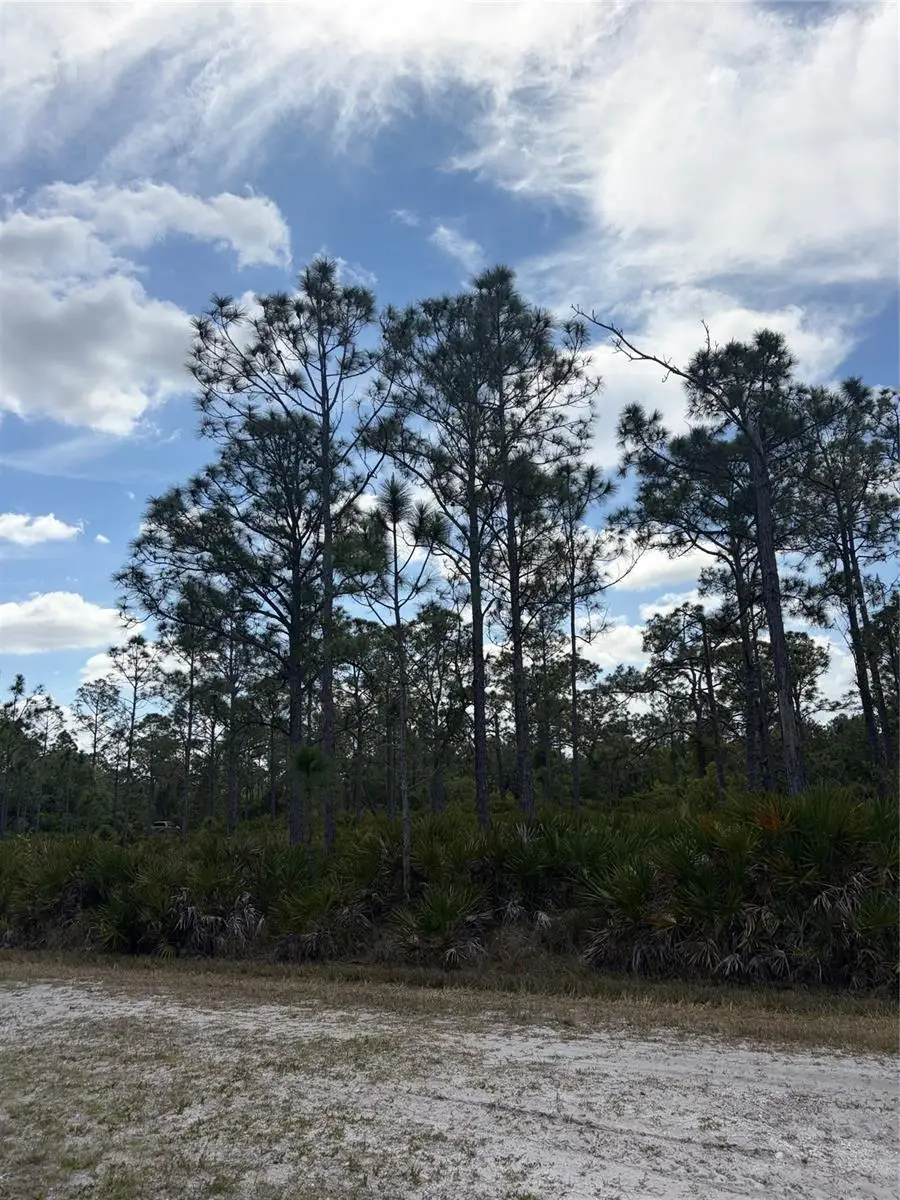 28078 Ramiro Drive, Punta Gorda, FL 33955 - #3