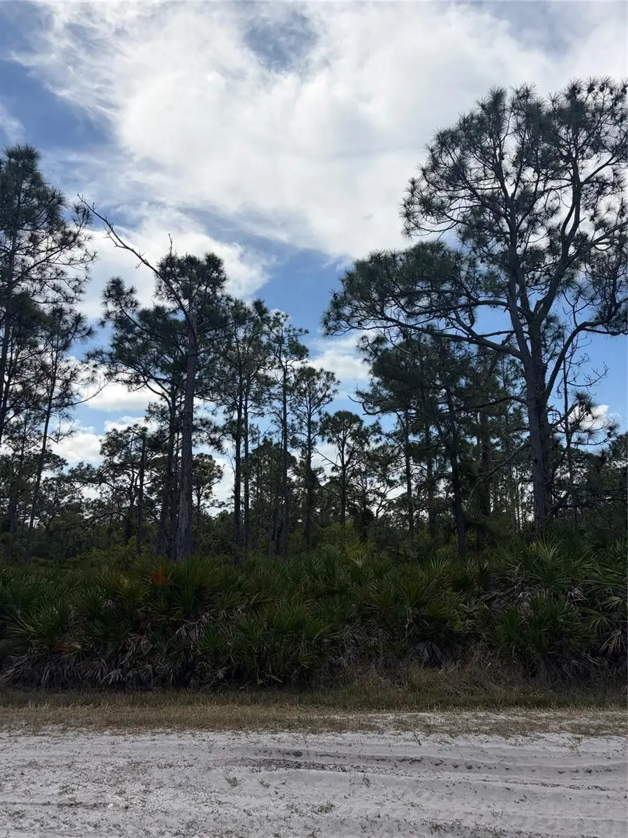 28072 Ramiro Drive, Punta Gorda, FL 33955 - #2