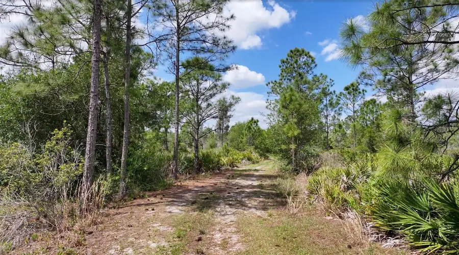 47200 Bermont Road, Punta Gorda, FL 33982 - #2