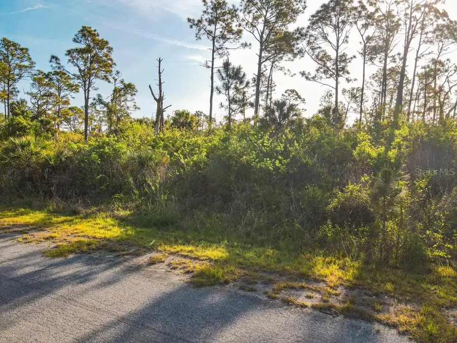 Blueleaf Drive, North Port, FL 34288 - #2